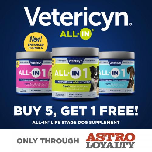 Promotion Image